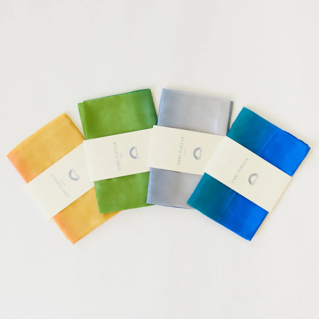 Sarah's Silks Giant Earth Playsilks Discount